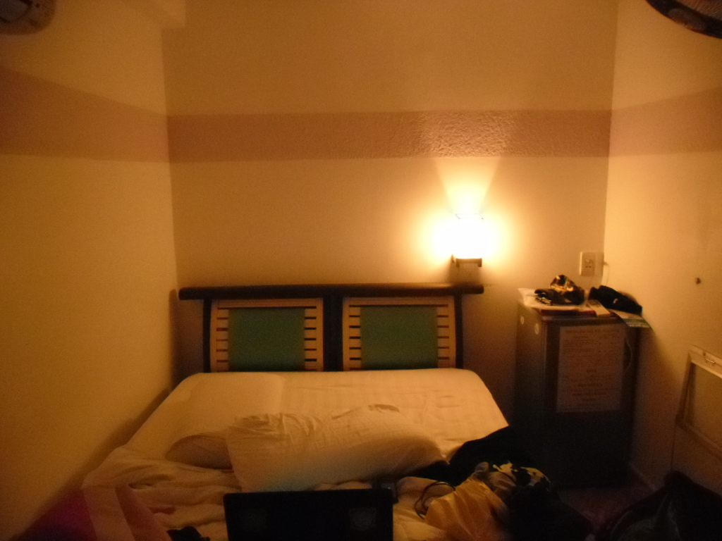 SAM_0453