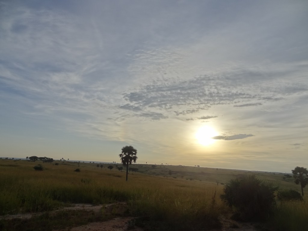 dsc04885