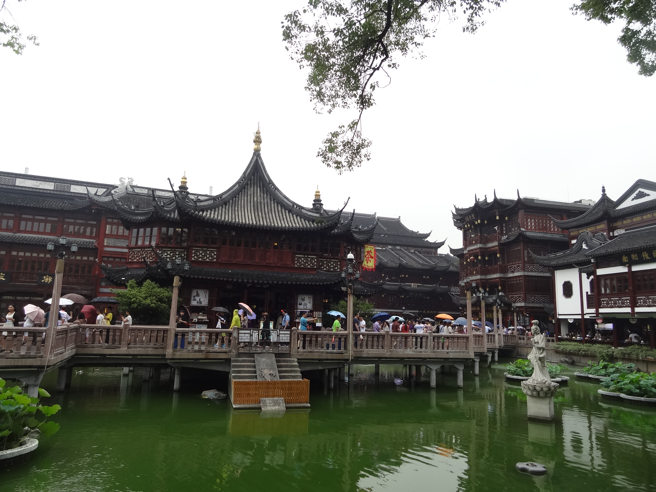 IMG_20150614_234329_HDR