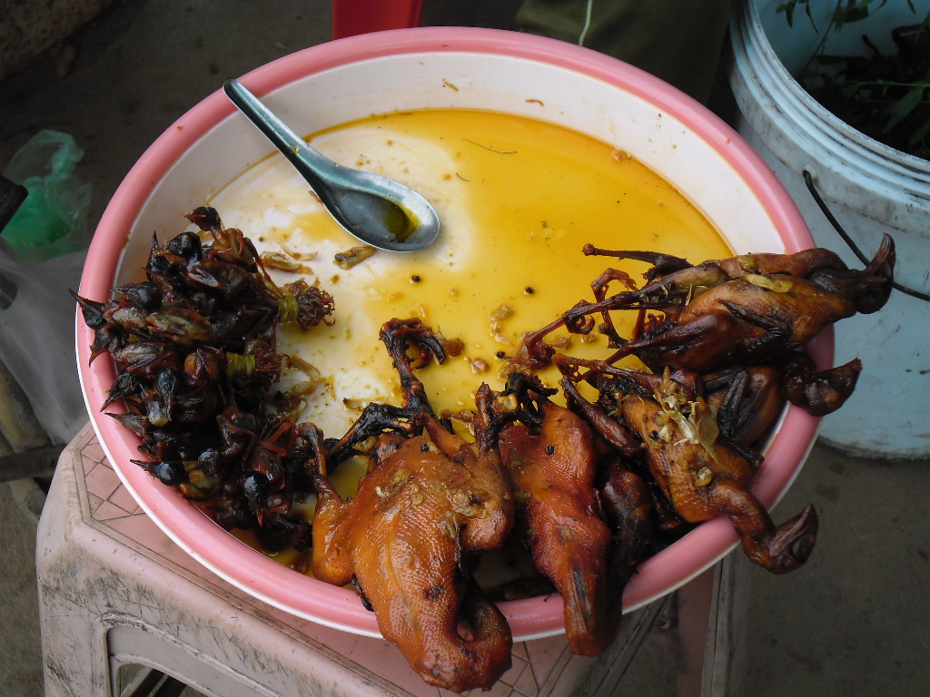 Cambodian birds