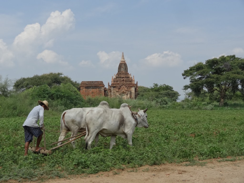 Bagan And The Wonderful Wooden Box