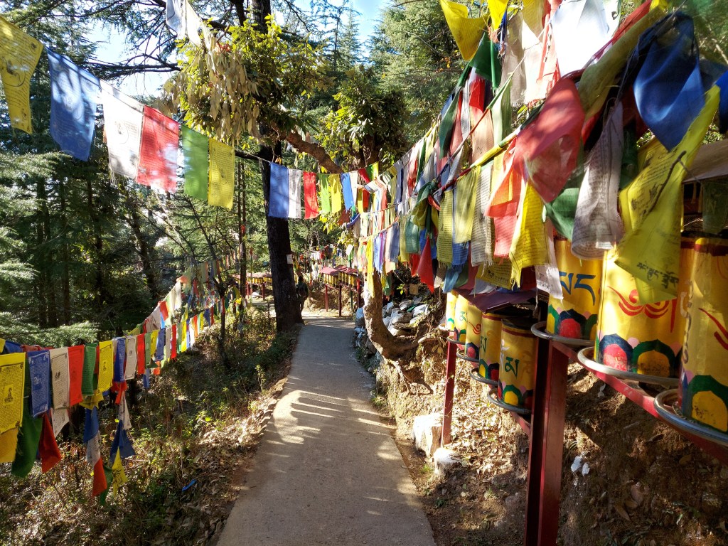 Up in the hills of&nbsp;Himachal