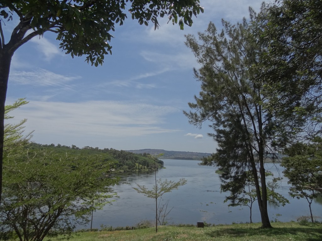 dsc04990