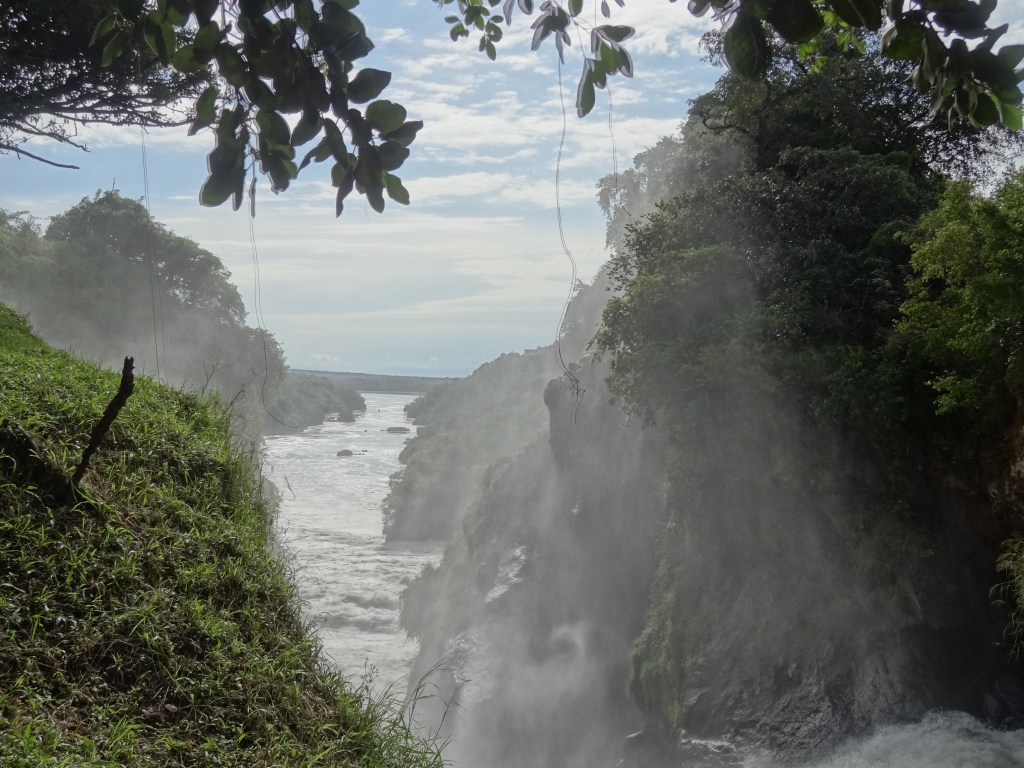 dsc04870