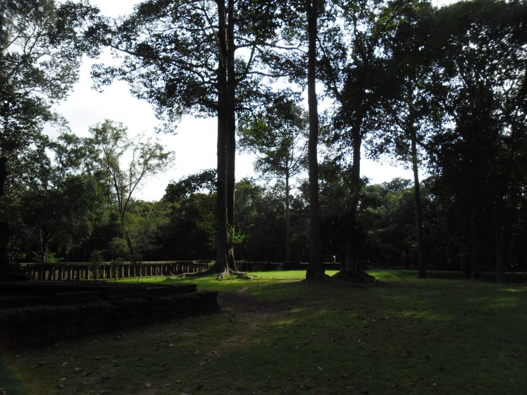SAM_0667